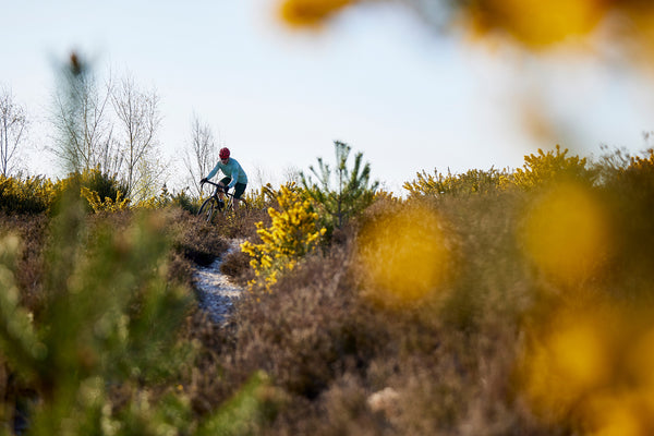 Steve Behr picture of a rider on Ashdown Forest on a Kinesis Tripster AT Plus.