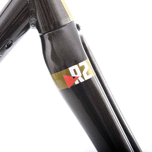 Kinesis R2 Frameset Black Gold