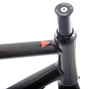Kinesis R2 Frameset Black Gold