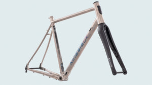 Kinesis GTD Titanium frameset on a coloured background.