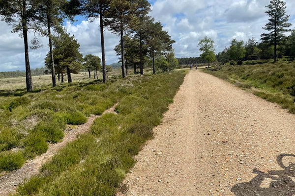 Watch: Dorset Gravel Dash 2024