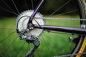 Kinesis Bike Dropouts