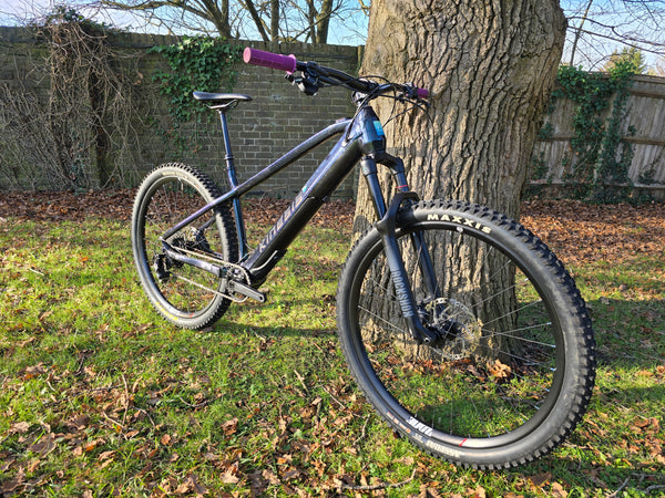 Lyfe Rise EBike LG (L3) Ex-Display