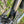 Kinesis 4S Tiagra Road Bike - Graphite Grey