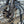 Kinesis 4S SRAM Apex Road Bike - Silver Mist