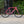 A pink Kinesis UK road bicycle with black wheels and drop handlebars, parked on a gravel surface in front of a black door and green bushes.