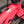 Close-up of a bright pink bicycle frame with a visible 4S Disc logo decal and part of a Kinesis stem, photographed outdoors on pavement.