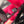 Close-up of a bright pink bicycle frame with a black chainring and cassette visible in the foreground.