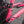 Close-up of a bright pink bicycle frame near the rear cassette, with a black and white Kinesis 'K' logo decal on the down tube and a chainring visible.