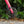 Kinesis 4S pink fork and front dis brake against blurred foliage background