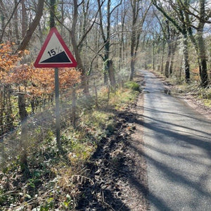 Road with a warning sign indicating a 15-degree incline, surrounded by trees and autumn foliage.