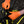 Black Mamba Nitrile Snakeskin Workshop Gloves correcting chain