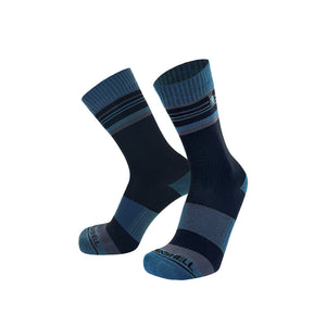 A pair of Dexshell Thermlite 2.0 Waterproof socks in Mallard Blue with stripes, and the brand name 'DEXSHELL' visible on the toes, set against a plain white background.
