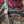 Kinesis 4S Tiagra Road Bike - Graphite Grey fork decals