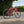 A Kinesis 4S ex-demo pink road bicycle with black components and drop handlebars, parked on a paved path outdoors with green bushes and a blue sky in the background. 