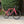 A ex-demo 4S bright pink road bicycle with black components, parked on a gravel surface in front of a large green bush and brick building.
