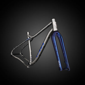 Fernweh MTB frame with the custom painted fork