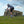 Cyclist riding a bicycle on a gravel patrh by a grassy field with a clear sky.