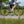 Person riding a bicycle on a gravel path with greenery in the background