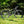 Mountain bike on grass with trees in the background