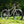 Frenweh bicycle on grass with greenery in the background
