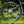 Close-up of a bicycle wheel with 'Bomboloni' and 'Reynolds' branding on grass.