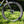 Bicycle wheel with 'Vittoria' and 'Reynolds' branding on grass