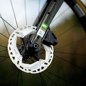 Kinesis Custom GX Race Bike Moss Metallic Action Photograph