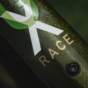 Kinesis Custom GX Race Bike Moss Metallic Action Photograph