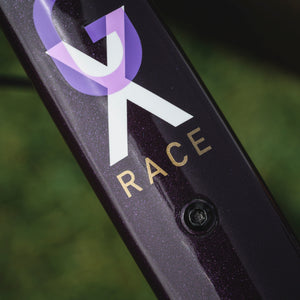 Kinesis Custom GX Race Bike Dark Plum Action Photograph