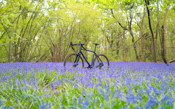 Kinesis G2 gravel frameset in the bluebell woods