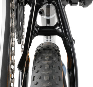 Close-up of a bicycle chain and tyre on a Tripster AT