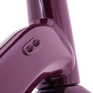 Kinesis Tripster AT Dark Plum Frame ports on a White background