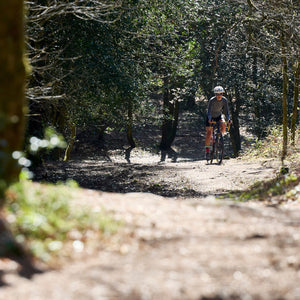 Long range shot of a rider riding a Tripster AT through a wooded area.