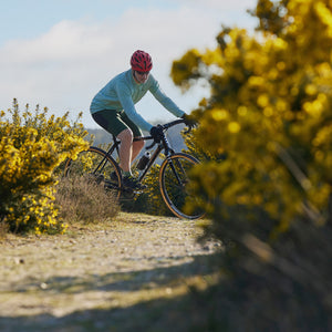 Tripster AT Plus between gorse bushes