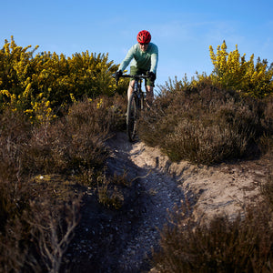 Tripster AT Plus being ridden between gorse bushes