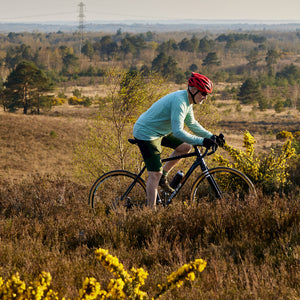 Tripster AT Plus up on Ashdown Forest
