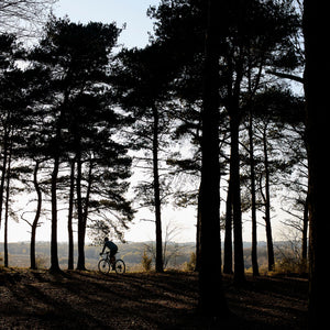 Tripster AT Plus in the woods