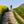 Tripster AT Plus disappearing up a track 