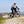 Tripster AT Plus being ridden up on the South Downs.