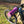 Kinesis Bike Rise EBike Large L3 Ex-Demo Galaxy