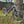 Kinesis Bike Rise EBike Large L3 Ex-Demo Galaxy