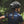 Kinesis UK branded jersey with a My Kinesis logo.