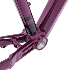 Kinesis Tripster AT Adventure Frameset with Columbus Futura Cross+ Carbon fork - Dark  Plum