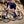 Kinesis - Frameset - Aithein Disc - Purple