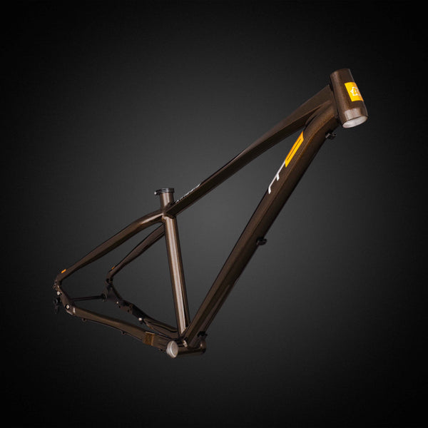 FF29 Frame Black Bronze