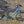 Kinesis Lyfe EBike Blue Large Ex Display