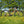 Kinesis Tripster AT full bike build on a grassy field with yellow flowers and trees in the background