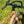 Tripster AT cockpit close-up of handlebar with 'FARR' branding against a blurred natural background