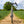 Kinesis Gravel Bicycle on a dirt path with greenery in the background front
